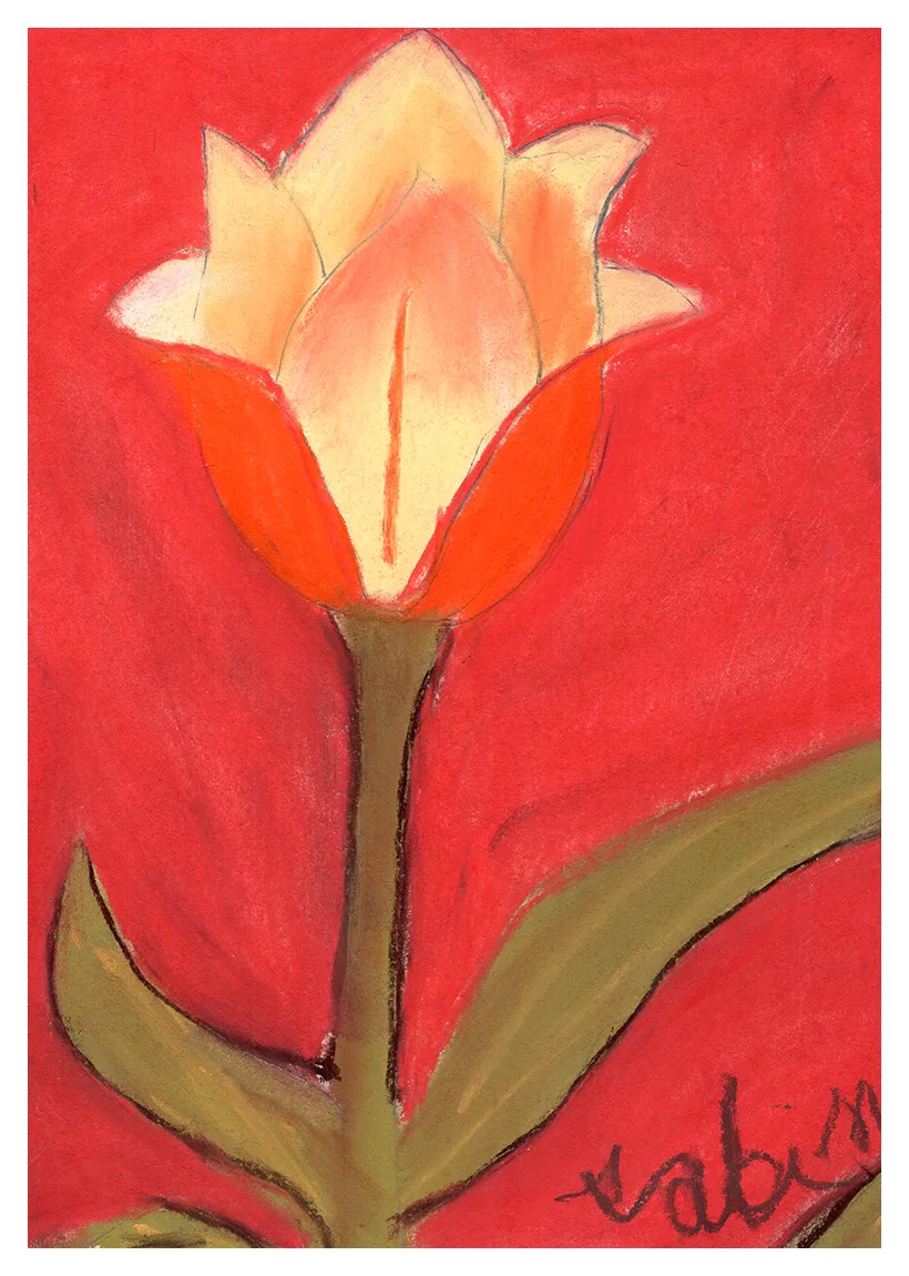 Sabina M. — El tulipán colorado