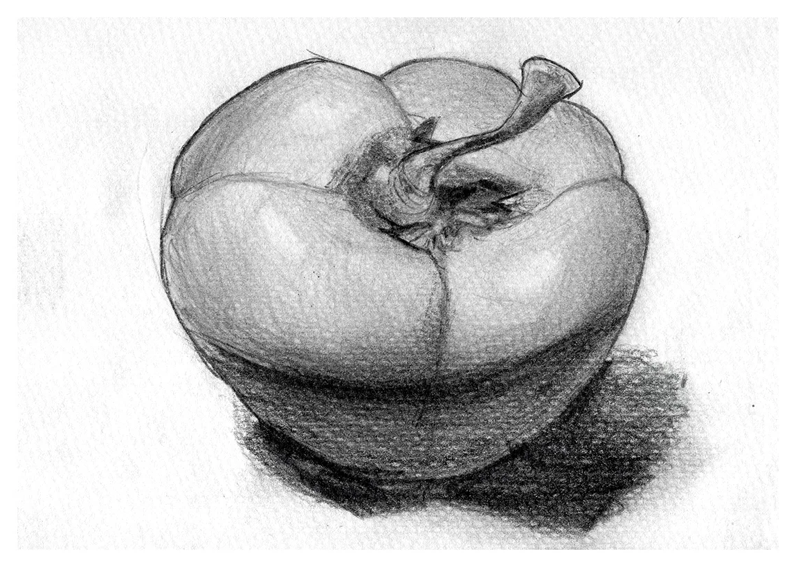 Regina P. — Tomate
